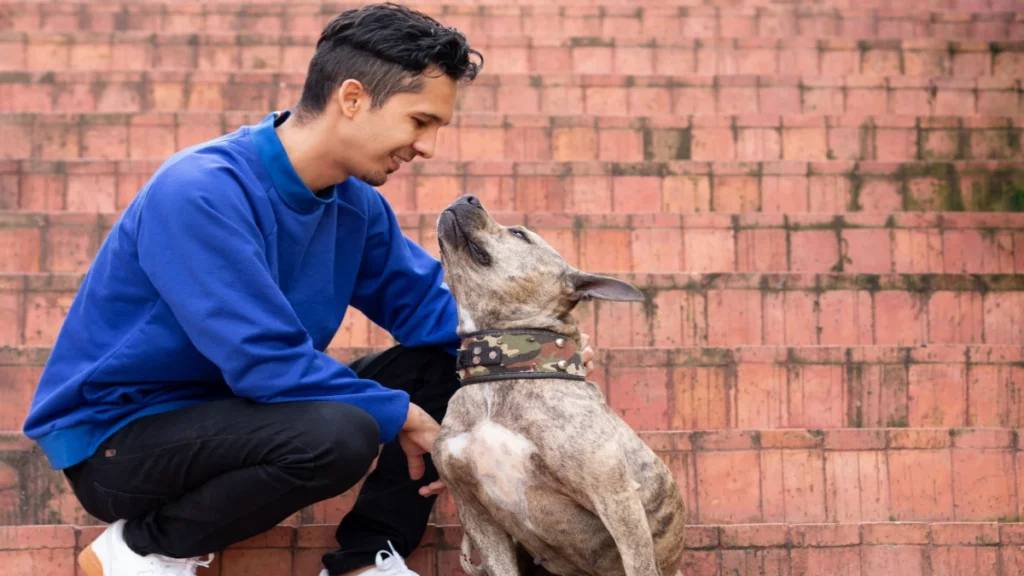 Adopter un chien L'adoption de chien présente plusieurs avantages considérables. Vous donnez à un animal une seconde chance. Vous contribuez aussi à réduire le nombre de chiens sans abri.