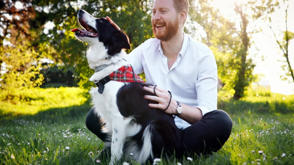 Adoption de chien en Ile-de-France spécificités et adresses utiles Adopter un chien en Île-de-France peut être une expérience enrichissante. Cette région offre de nombreuses opportunités et ressources pour les aspirants adoptants. Cependant, il est essentiel de connaître les particularités locales pour réussir cette démarche.