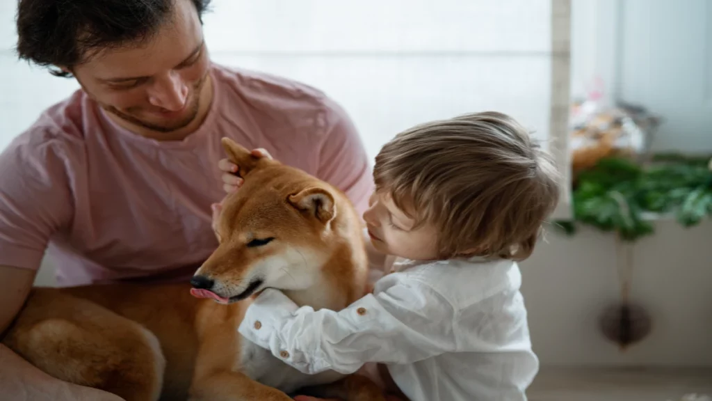Devenir famille d’accueil rôle, responsabilités et avantages Devenir famille d'accueil pour chiens est une action généreuse. Vous offrez un foyer temporaire à un chien dans le besoin. Ce rôle est essentiel pour les refuges débordés.